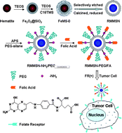Graphical abstract: Biocompatibility, MR imaging and targeted drug delivery of a rattle-type magnetic mesoporous silica nanosphere system conjugated with PEG and cancer-cell-specific ligands