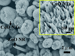 Graphical abstract: Microwave-activated CuO nanotip/ZnO nanorod nanoarchitectures for efficient hydrogen production