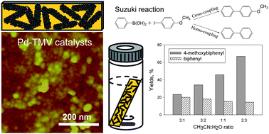 Graphical abstract: Viral-templated palladium nanocatalysts for Suzuki coupling reaction