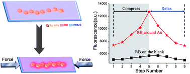 Graphical abstract: Flexible Au nanoparticle arrays induced metal-enhanced fluorescence towards pressure sensors