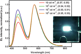 Graphical abstract: Highly efficient white organic electroluminescence device based on a phosphorescent orange material doped in a blue host emitter