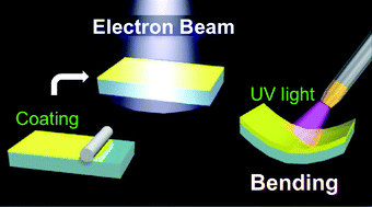 Graphical abstract: Direct fabrication of photomobile polymer materials with an adhesive-free bilayer structure by electron-beam irradiation