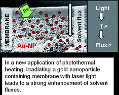 Graphical abstract: Using the photothermal effect to improve membrane separations via localized heating