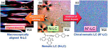 Graphical abstract: Liquid crystalline PEDOT derivatives exhibiting reversible anisotropic electrochromism and linearly and circularly polarized dichroism