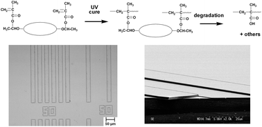 Graphical abstract: Reworkable dimethacrylates with low shrinkage and their application to UV nanoimprint lithography