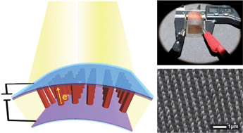 Graphical abstract: Fabrication of flexible dye-sensitised solar cells with photoanodes composed of periodically aligned single crystalline vertical ZnO NRs by utilising a direct metal transfer method