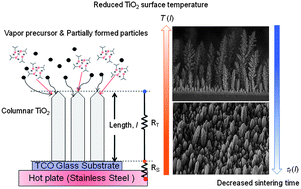 Graphical abstract: Thermal conduction effects impacting morphology during synthesis of columnar nanostructured TiO2 thin films
