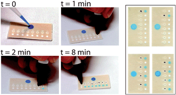 Graphical abstract: Programmable diagnostic devices made from paper and tape
