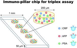 Graphical abstract: Immuno-pillar chip: a new platform for rapid and easy-to-use immunoassay