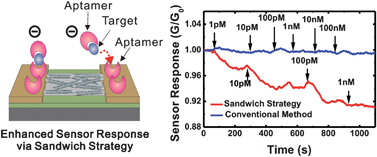 Graphical abstract: Aptamer sandwich-based carbon nanotube sensors for single-carbon-atomic-resolution detection ofnon-polar small molecular species