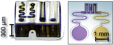 Graphical abstract: Fabrication of monolithic 3D micro-systems