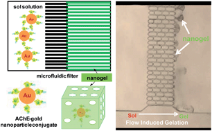Graphical abstract: Enzyme entrapped nanoporous scaffolds formed through flow-induced gelation in a microfluidic filter device for sensitive biosensing of organophosphorus compounds