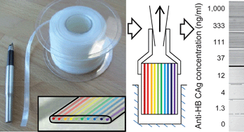 Graphical abstract: A simple device for multiplex ELISA made from melt-extruded plastic microcapillary film