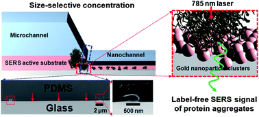 Graphical abstract: Size-selective concentration and label-free characterization of protein aggregates using a Raman active nanofluidic device