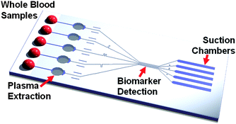 Graphical abstract: Stand-alone self-powered integrated microfluidic blood analysis system (SIMBAS)