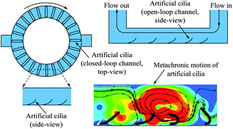 Graphical abstract: Magnetically-actuated artificial cilia for microfluidic propulsion