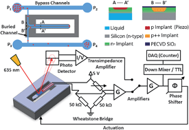 Graphical abstract: Suspended microchannel resonators with piezoresistive sensors