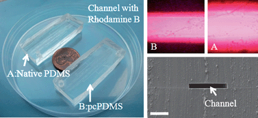 Graphical abstract: Studies on Parylene C-caulked PDMS (pcPDMS) for low permeability required microfluidics applications