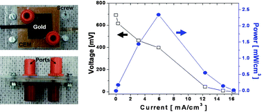 Graphical abstract: A μL-scale micromachined microbial fuel cell having high power density