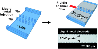 Graphical abstract: Inherently aligned microfluidic electrodes composed of liquid metal