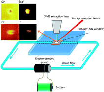 Graphical abstract: Probing liquid surfaces under vacuum using SEM and ToF-SIMS
