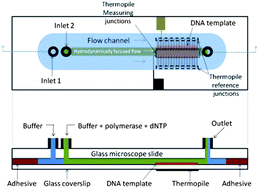 Graphical abstract: Thermoelectric method for sequencing DNA
