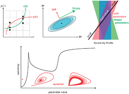 Graphical abstract: Practical limits for reverse engineering of dynamical systems: a statistical analysis of sensitivity and parameter inferability in systems biology models