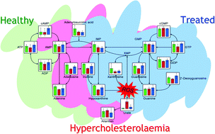 Graphical abstract: Metabolomic anatomy of an animal model revealing homeostatic imbalances in dyslipidaemia