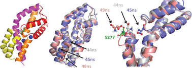Graphical abstract: The mechanism of substrate release by the aspartate transporter GltPh: insights from simulations