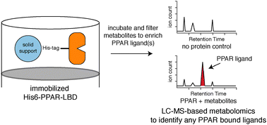 Graphical abstract: A metabolomics strategy for detecting protein–metabolite interactions to identify natural nuclear receptor ligands