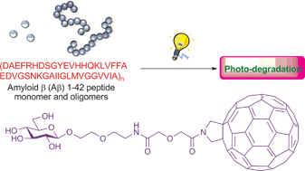 Graphical abstract: Photo-degradation of amyloid β by a designed fullerene–sugar hybrid