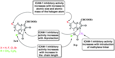 Graphical abstract: Synthesis and biological activity evaluation of N-protected isatin derivatives as inhibitors of ICAM-1 expression on human endothelial cells