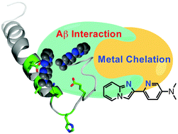 Graphical abstract: Synthesis and characterization of IMPY derivatives that regulate metal-induced amyloid-β aggregation