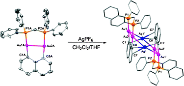 Graphical abstract: Synthesis, structure and luminescence of 1,8-diaurionaphthalenes