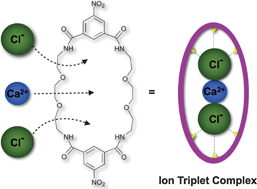 Graphical abstract: The first supramolecular ion triplet complex