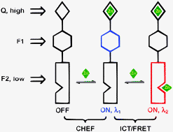 Graphical abstract: Metal-coordination-mediated sequential chelation-enhanced fluorescence (CHEF) and fluorescence resonance energy transfer (FRET) in a heteroditopic ligand system