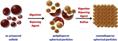 Graphical abstract: Many manifestations of digestive ripening: monodispersity, superlattices and nanomachining