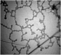 Graphical abstract: Fabrication and characterization of single walled carbon nanotubes-iron phthalocyanine nano-composite: surface properties and electron transport dynamics of its self assembled monolayer film