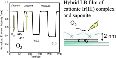 Graphical abstract: Hybridization of clay minerals with the floating film of a cationic Ir(iii) complex at an air–water interface