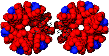 Graphical abstract: Calixarene nanotubes: structural tolerance towards pyridine templates