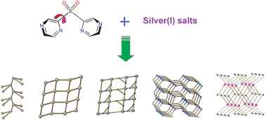 Graphical abstract: Supramolecular frameworks constructed from angular-shaped sulfonyldipyrazine and various silver(i) salts