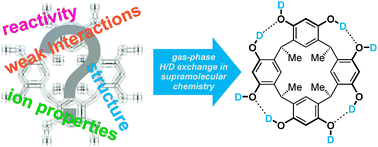 Graphical abstract: Gas-phase H/D-exchange experiments in supramolecular chemistry