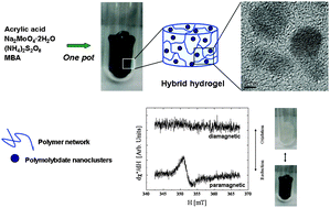 Graphical abstract: A bottom-up route for the preparation of novel hierarchical nanostructured hybrid molybdenum oxide–hydrogel composites