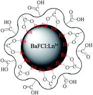 Graphical abstract: Poly (acrylic acid)-capped lanthanide-doped BaFCl nanocrystals: synthesis and optical properties