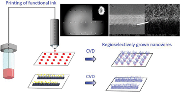 Graphical abstract: Ink-jetable patterning of metal-catalysts for regioselective growth of nanowires