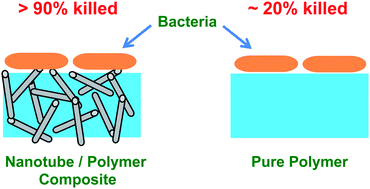 Graphical abstract: Antimicrobial biomaterials based on carbon nanotubes dispersed in poly(lactic-co-glycolic acid)