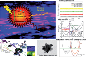 Graphical abstract: Influence of surface plasmon resonance on the emission intermittency of photoluminescence from gold nano-sea-urchins
