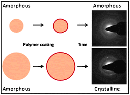 Graphical abstract: Stabilization of amorphous calcium carbonate by controlling its particle size