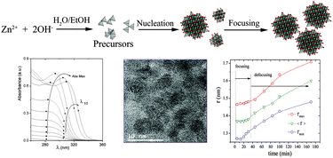 Graphical abstract: The nucleation kinetics of ZnO nanoparticles from ZnCl2 in ethanol solutions