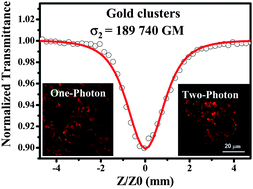 Graphical abstract: Biocompatible glutathione capped gold clusters as one- and two-photon excitation fluorescence contrast agents for live cells imaging